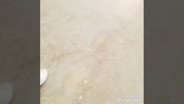 Билярск ? смотреть онлайн