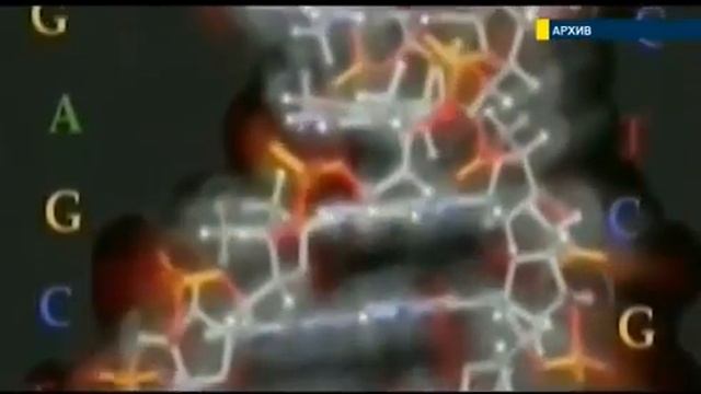 Ученые всего мира заговорили о существовании Создателя .