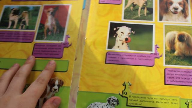 Кошки и собаки коллекция наклеек DS STICKERS CATS AND DOGS