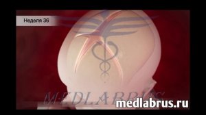 3 триместр беременности: изменения, рекомендации и подготовка к родам