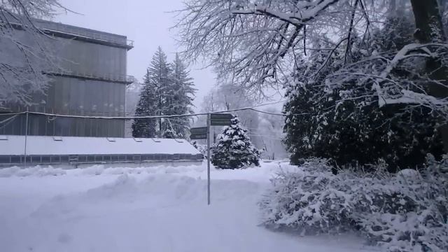 зимняя сказка в ботаническом саду смотреть онлайн