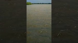 Бисерово Московская область