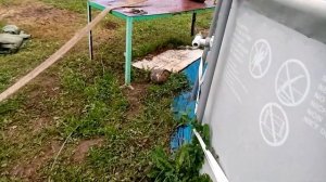 скважина 80 метров