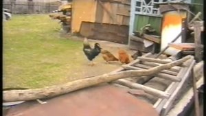 2004 год.  Васьковичи.  День рождения деда.