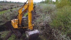 Яблоневые сады. Корчевание деревьев экскаватором. Работа МУЛЬЧЕРА. Утилизация деревьев