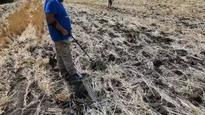 Коп с XP ORX, катушка x35