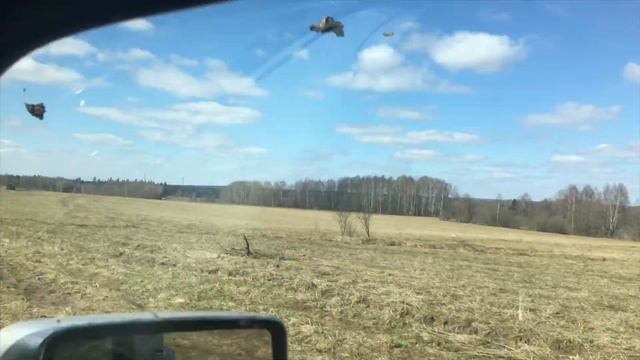 Берёзовый фреш смотреть онлайн