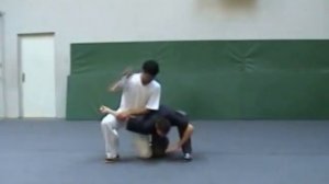 Тайцзицюань, цинна
