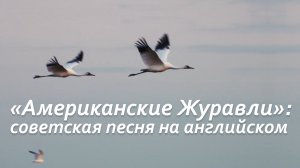 «Журавли» на английском: поэзия Кори МакНотон на мелодию Яна Френкеля