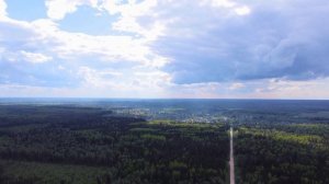 Леса между Заозерьем и Дивенским