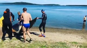 САХАЛИН. "Лесное озеро", озеро Тунайча.