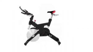 Sole Sb700 Exercise Bike Review