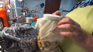 УПРАВИЛАСЬ И НАКОРМИЛА?? ЗАСОЛИЛА ФОРЕЛЬ ?