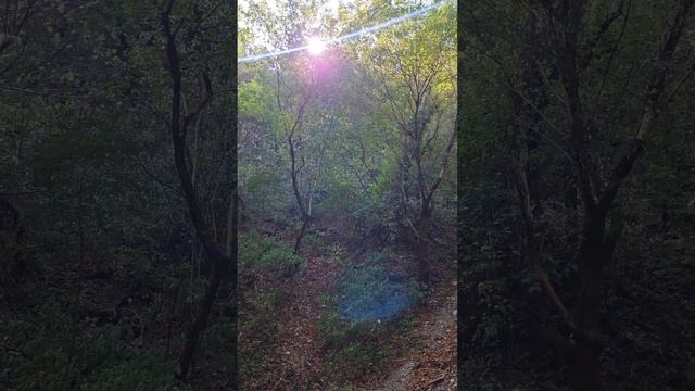 Дорога на Пшадские водопады