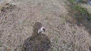 Проверка мордушки и сетки.