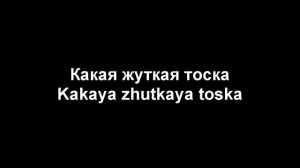 Пластинки (ДУРНОЙ ВКУС) Lyrics & Текст