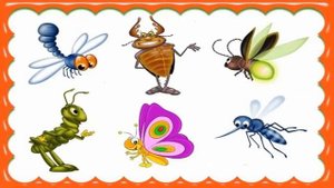 Разгадай-ка. Игра Обобщение.