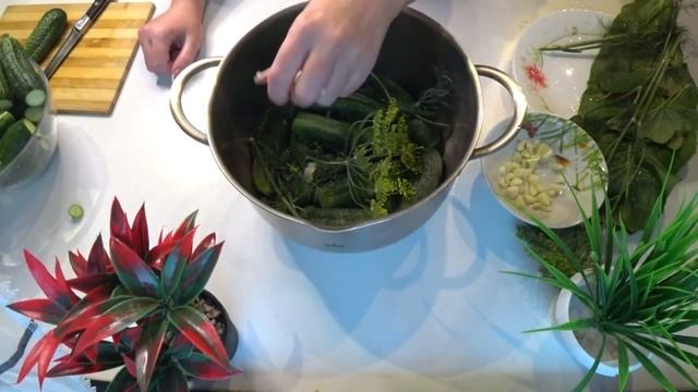 малосольные огурцы быстрого приготовления получаются очень вкусные хрустящие ароматные