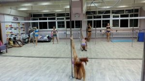 Связка 50 оттенков серого