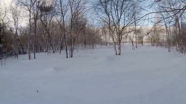 Отправляемся в деревню на мотособаке по глубокому снегу, глубокой зимой!
