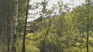 Тепловоз ТЭП10 с пригородным поездом Муром - Черусти