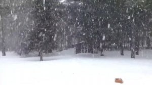 Winter Jazz Music - Cozy Atmosphere Of a Snowy Day - Instrumental Music