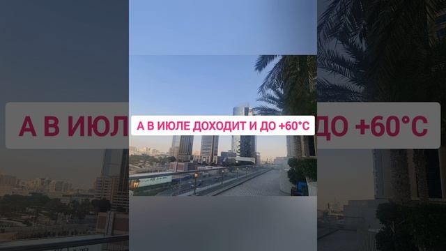 1 реальная шок-причина вернуться из Дубая в Москву??♀️