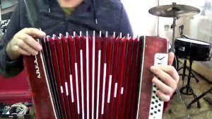 Гармонь Чайка - 202. Обзор.