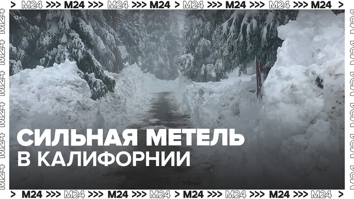 Трафик машин парализован на границе Калифорнии и Невады из-за сильной метели - Москва 24