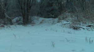 Captiva - полный привод - мать его...