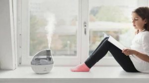 ✅Greatest 5 Best Filterless Humidifiers 2022 | Top 5 Best Filterless Humidifiers Reviews in 2022