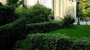 Крым . Санаторий " Нижняя Ореанда " . 2023-октябрь .