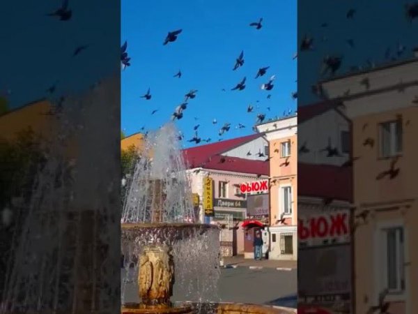 Утром у фонтана