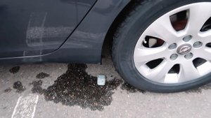 НАЗАД или ВПЕРЕД ЧЕЛЛЕНДЖ ||РАЗДАВИЛ СВОЙ ТЕЛЕФОН ?|| ДАВИМ ВЕЩИ ДРУГ ДРУГА ?