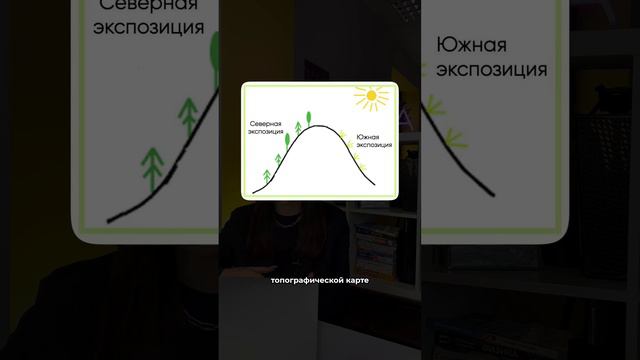 Самое дорогостоящее задание на ОГЭ🤩  #огэ #география # огэ2023 #огэгеография