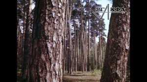 Защита окружающей среды (кинодокумент, 1978)