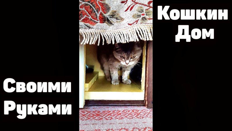 Кошкин дом Тёплый Дом Для кошки Дуськи СВОИМИ РУКАМИ