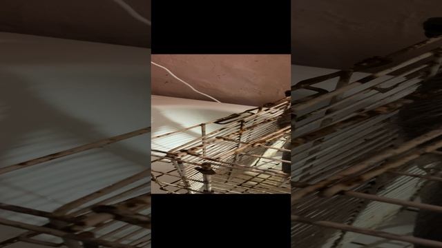 2022-10-21