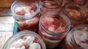 домашняя тушонка из мяса нутрии