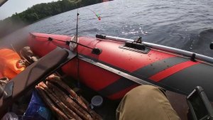 Рыбалка на кольцо на Волге. Бортовые донки. 26.07.22