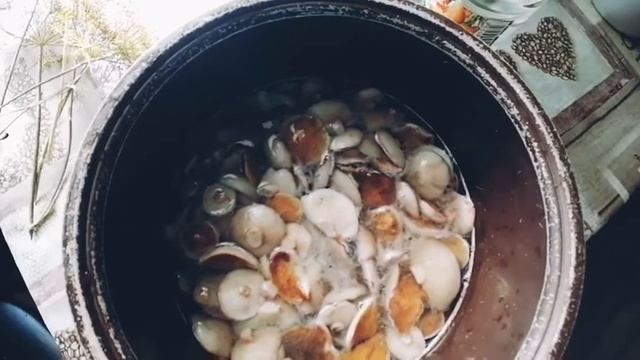 Маринованные маслята? смотреть онлайн