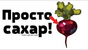 Обязательно сейте в октябре под зиму эту сладкую свеклу! Лучшие сорта озимой свеклы!