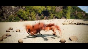 Танцующий краб  вставка для видео монтажа crab rave