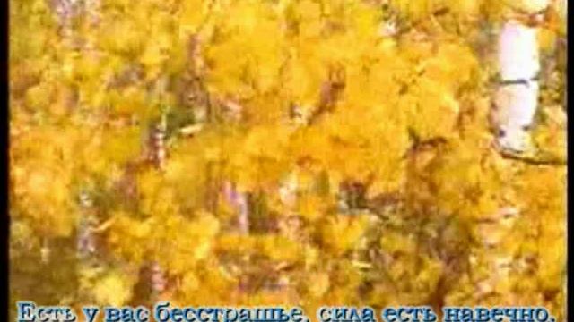 Просьба+