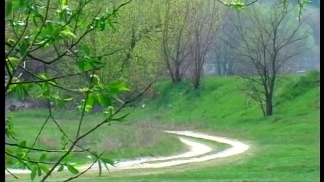 ЧЕКАННЯ | ВАСИЛЬ СИМОНЕНКО | ВАСИЛЬ МАШИР