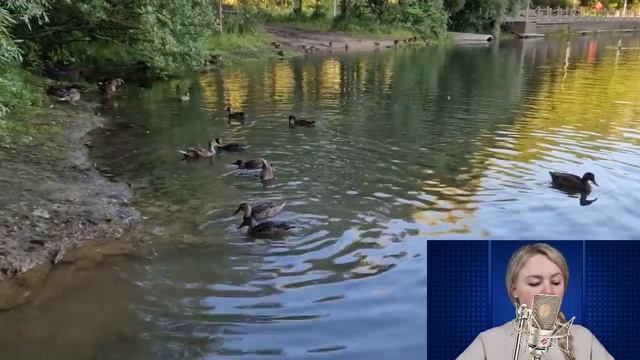 Свекровь высказала невесте за бедность, сорвав богатую свадьбу. Но спустя девять месяцев... смотреть онлайн