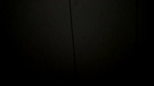 Тёмный лифт. Пассажирский лифт (ELM-2020 г.в) V=1 м/с, г/п 400 кг (г. Тверь) (ТверьЛифтМаш-2020 г.в