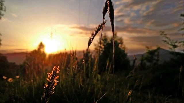 Медитация: Отдых после работы. Релаксация.