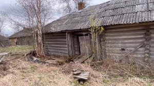 Вологодская деревня. Часть 5. Прогулка в лес за весенними грибами  и обзор заброшенного дома