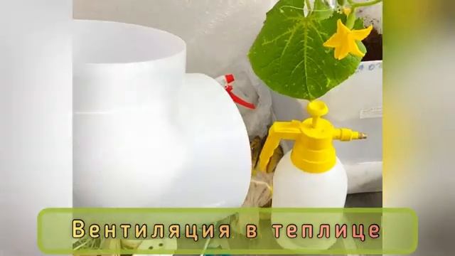 ПРИНУДИТЕЛЬНАЯ ВЕНТИЛЯЦИЯ В ТЕПЛИЦЕ. ЧАСТЬ 2.